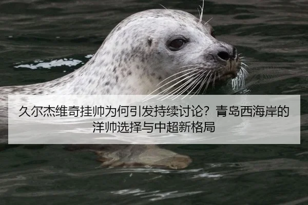 久尔杰维奇挂帅为何引发持续讨论？青岛西海岸的洋帅选择与中超新格局